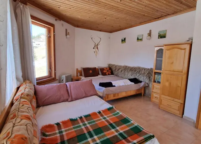 The House * Stoykite